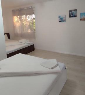 Sinmartin House | Pensiunea Casa Steli