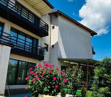 Sulina House | pensiunea delta ideal