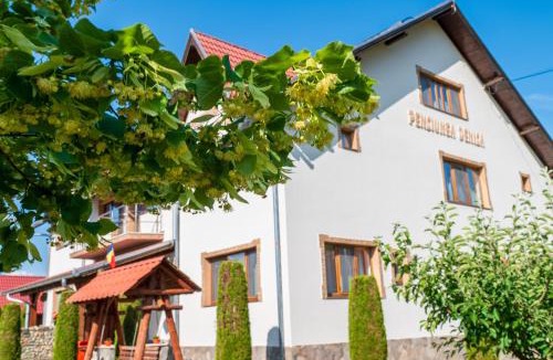 Cristian House | Pensiunea Denisa