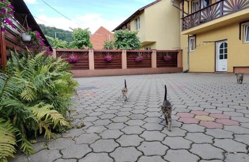 Praid House | PENSIUNEA DORINA