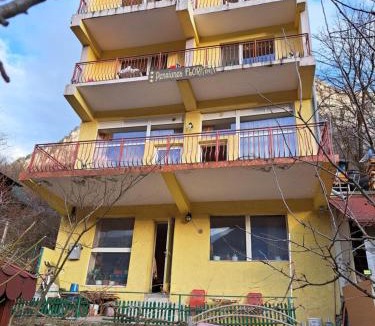 Baile Herculane Hotel | Pensiunea Floriana