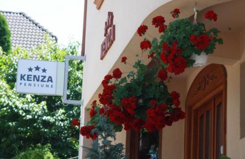 Tirgu Mures House | Pensiunea Kenza