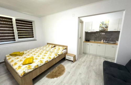 Sovata Bed & Breakfast | Pensiunea NikoBella Panzió
