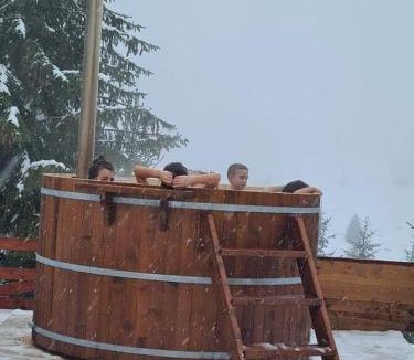 Bistrita Bargaului House | Pensiunea Paradisul Naturii