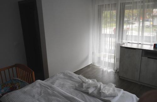 Campulung Moldovenesc House | Pensiunea Sâhla