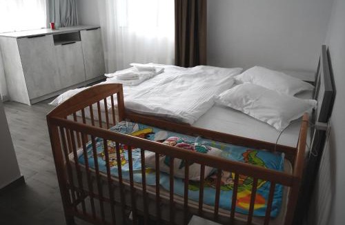 Campulung Moldovenesc House | Pensiunea Sâhla