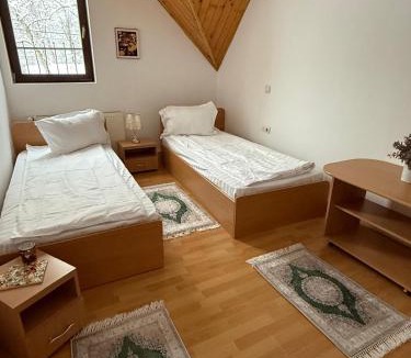 Sighisoara House | PENSIUNEA STEJARUL -Restaurant LA GITANA