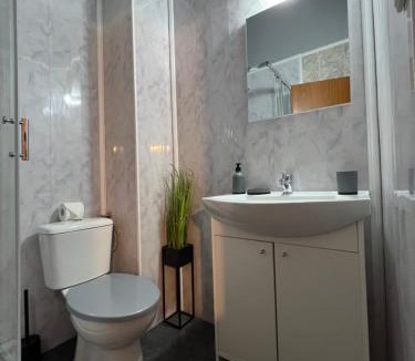 Timisoara House | PENSIUNEA UNO