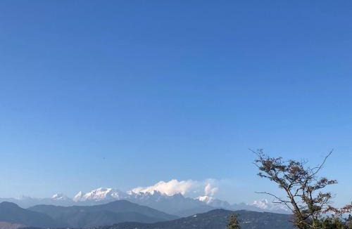 Kalimpong House | Petal & Pine Homestay
