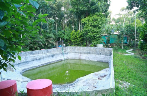Pirmed Bed & Breakfast | Philip Mary Farm Stay, Thekkady