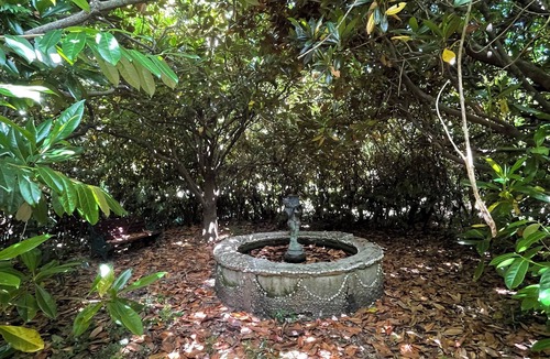 Bullaburra House | Picturesque mountain home - 6.5 acres of gardens to explore!