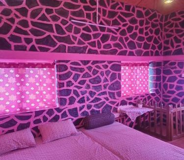 Vattakanal Hostel | PINK HOUSE DORMENTRY Vattakanal