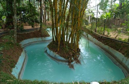 Sulthan Bathery House | Pomma Holidays and Resorts