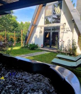 Porumbacu de Jos House | Porumbacu Retreat-Cabana Forest A-frame și Chalet Max cu jacuzzi și piscină sezonieră, pe malul râului ,în apropiere de Transfăgărășan, Sibiu