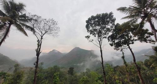 Todupulai Villa | Premium Resort with Pool Campfire tent stay and Games between munnar & Idukki