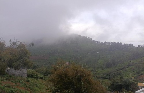 Kotagiri Hotel | Prithivee Homestay