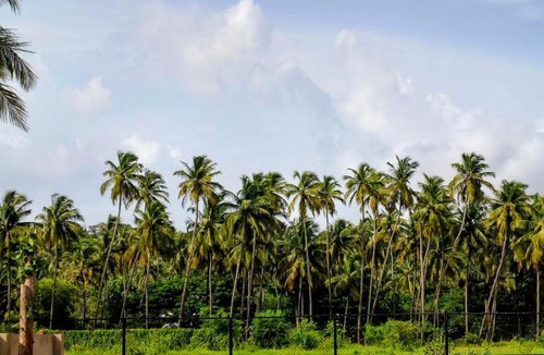 Bogmolo Villa | Private 2bhk Villa - 2 min walk to bogmalo beach and 5 mins drive to Dabolim Airport