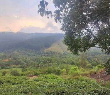 Elappara Hotel | Private Pool Villa Vagamon