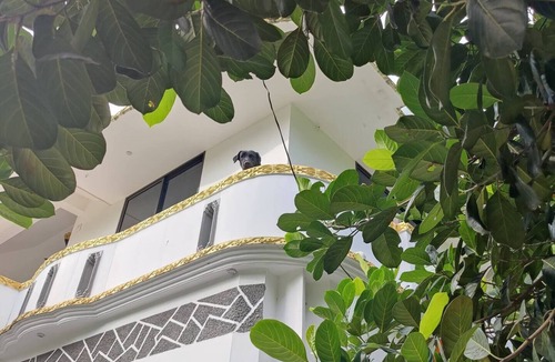 Neyyattinkara Apartment | Private studio at Casa Di Dominici