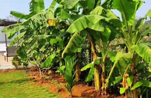 Alibaug Villa | Privy Stays - Bherse Villa