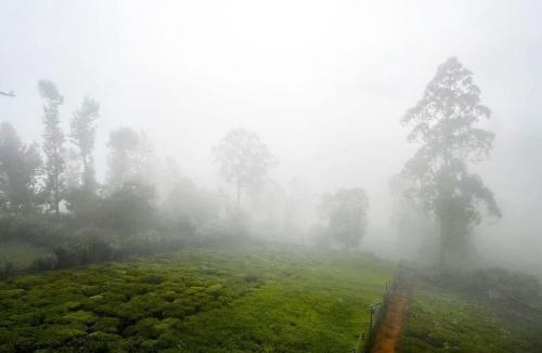 Kotagiri House | Prysm Homestay - Kotagiri