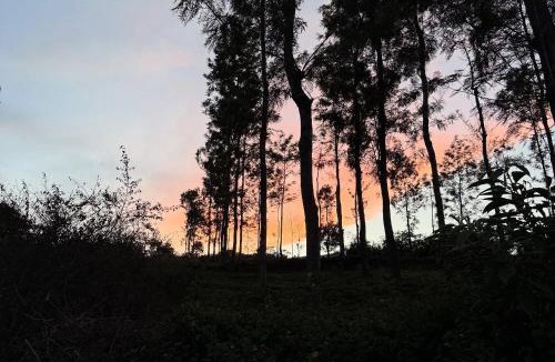 Kotagiri House | Prysm Homestay - Kotagiri