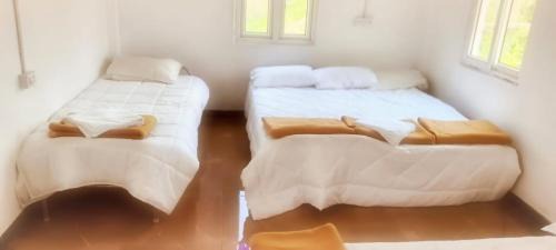 Kotagiri House | Prysm Homestay - Kotagiri