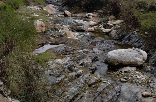 Kaul Cottage | Quaint exclusive cottage in heart of a lush forest, beside a stream!!