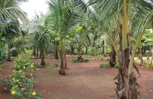 Mankombu Villa | RìoCasa