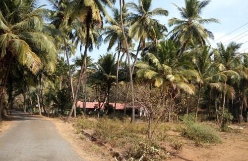 Bogmolo House | Raikar Guest House