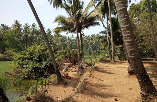 Bogmolo House | Raikar Guest House