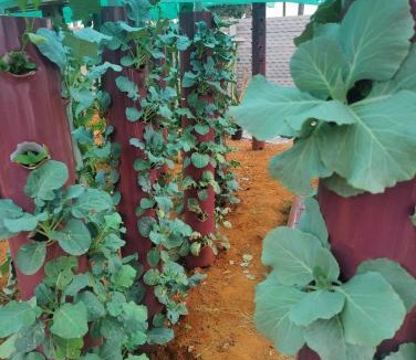 Sidlaghatta House | Rajni farm house