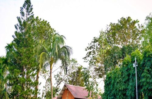 Ilam Bazar Hotel | Raktokorobi Karu Gram