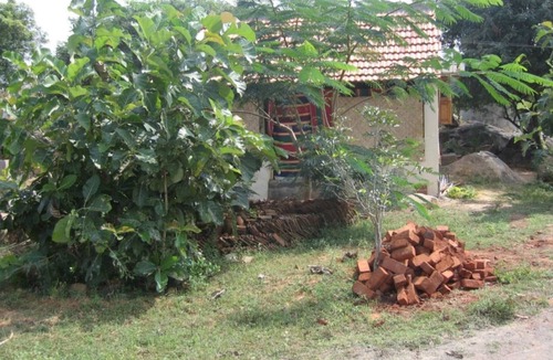 Tiruvannamalai House | Raman alayam Guest House