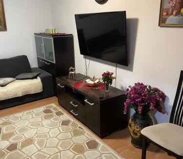 Brasov Villa | Rami Vila Central