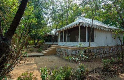 Jamool Khera Villa | Ranthambore Tiger Machan