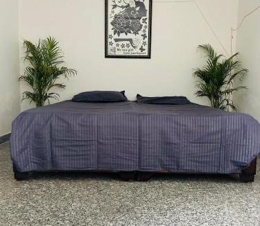 Bedla Villa | Rathore haveli