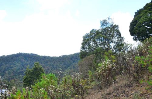 Kodaikanal Villa | Redfox Villa - Kodaikanal