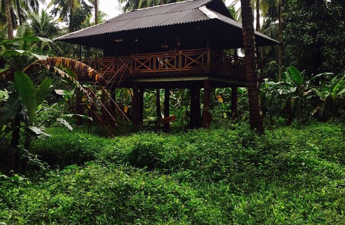 Thalassery House | Rejuvenate yourself at Rahut Tree House