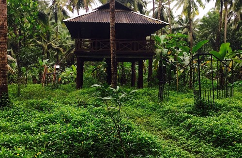 Thalassery House | Rejuvenate yourself at Rahut Tree House