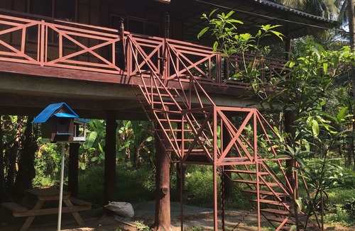 Thalassery House | Rejuvenate yourself at Rahut Tree House