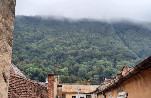 Brasov City Centre Apartment | Republicii Apartment
