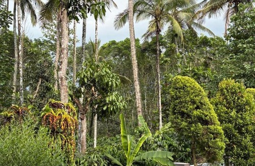 Sulthan Bathery House | Resonanace Homestay Nature Stay in Wayanad