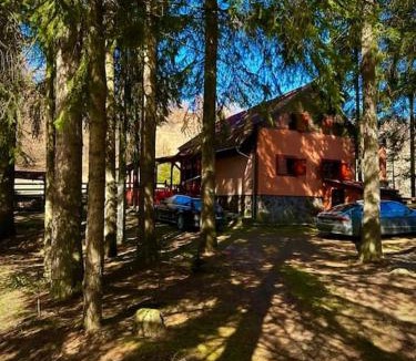 Varsag House | Riksberg Chalet in Harghita Mountains