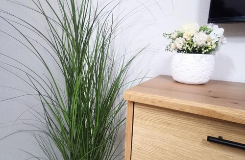 Odorheiu Secuiesc Apartment | River Apartman 2