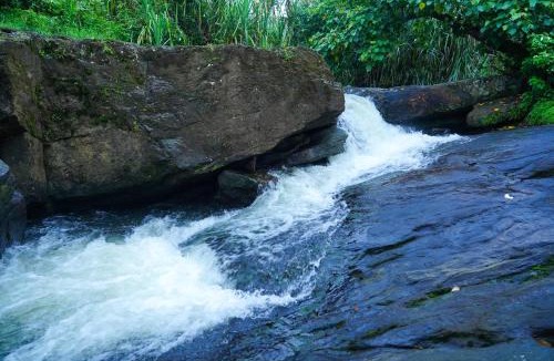 Elappara Hotel | River side