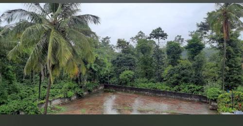 Belur House | River valley Homestay