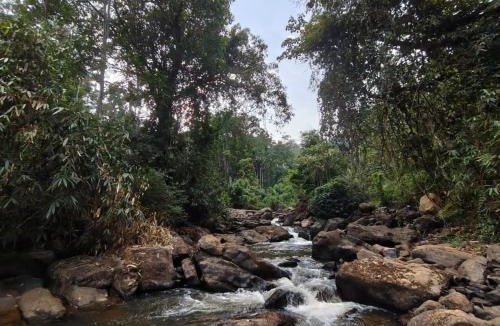 Devikolam Resort | Riverwood Cottages