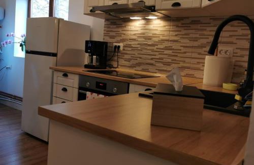 Campulung Moldovenesc House | Rivr House Bucovina