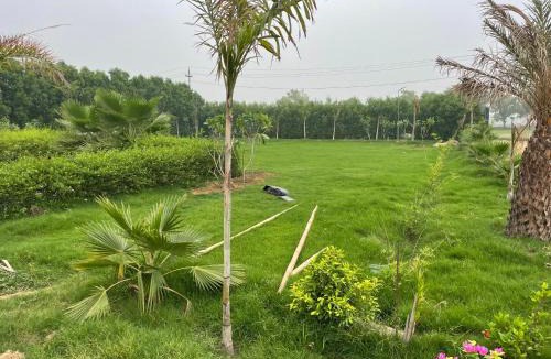 Rohtak House | Rocopie Farm